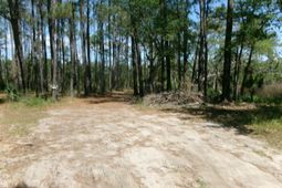 1108 Saint Thomas Island Drive photo 4