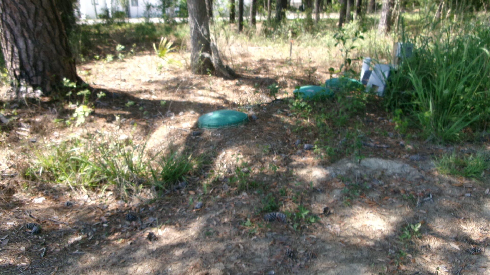 1108 Saint Thomas Island Drive Photo 5