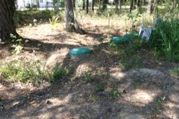 1108 Saint Thomas Island Drive photo 4