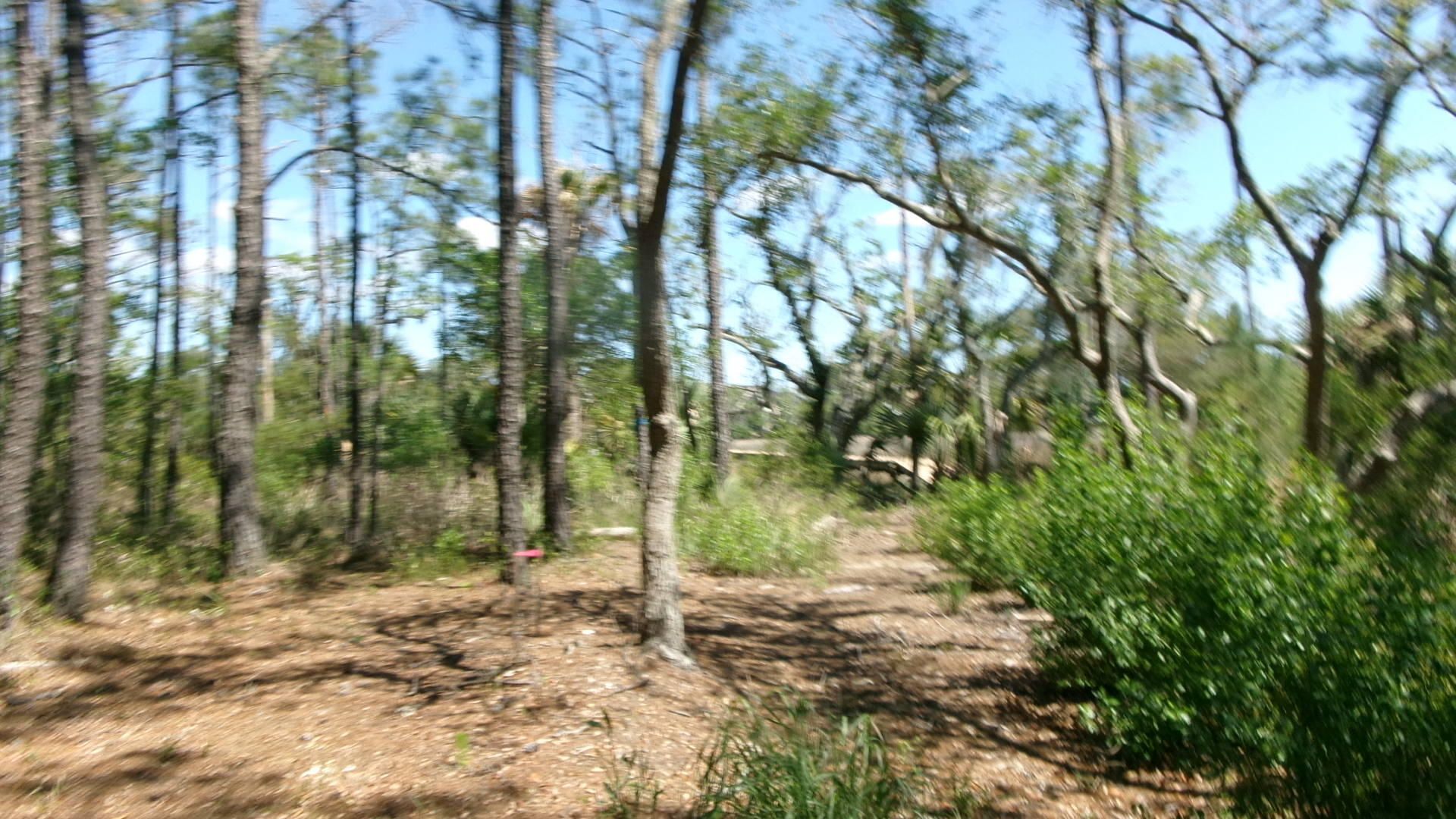 1108 Saint Thomas Island Drive Photo 6