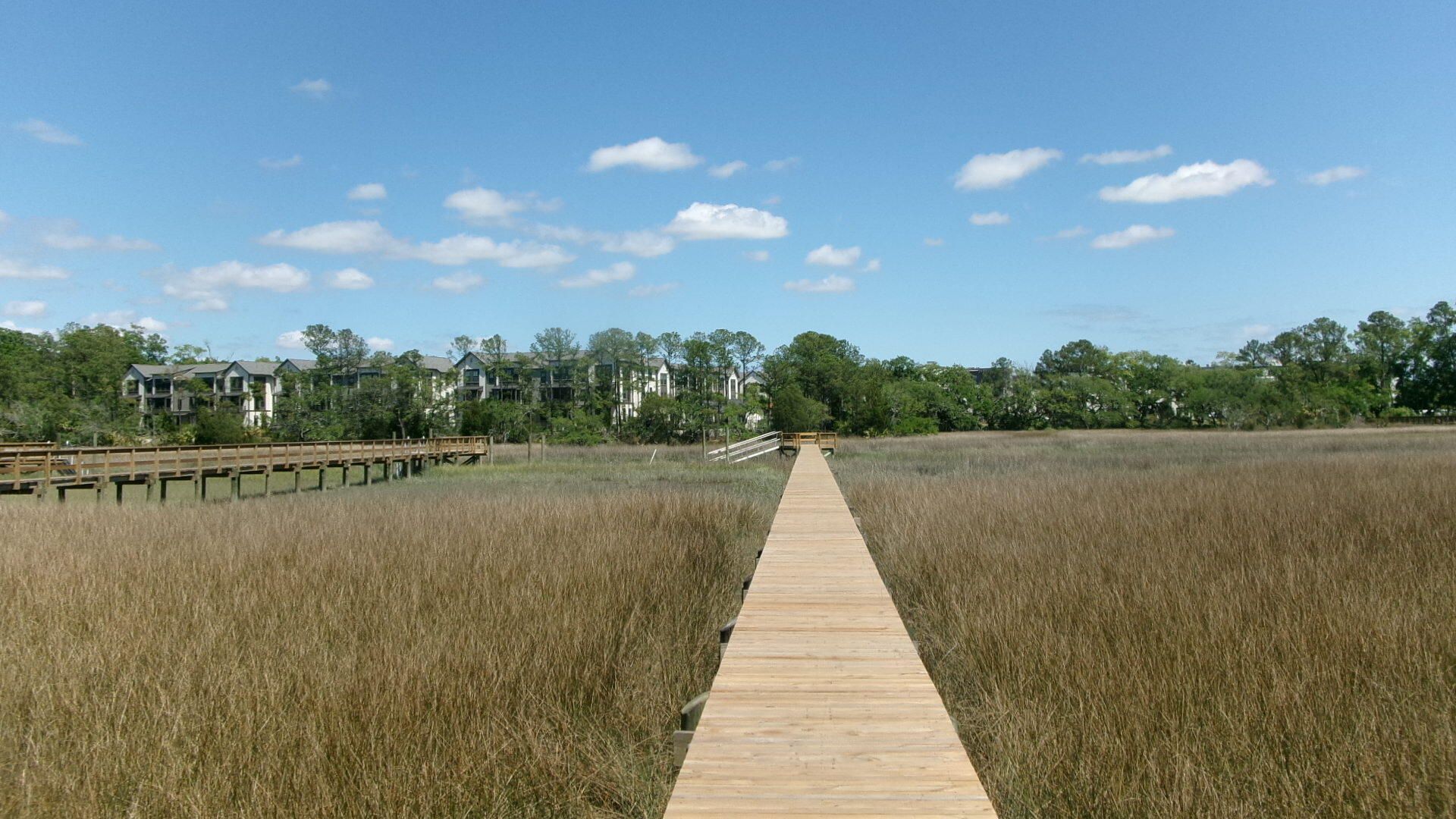 1108 Saint Thomas Island Drive Photo 7