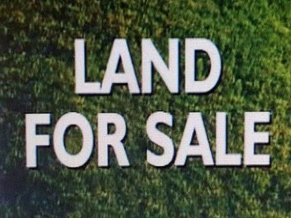000 Wilson Dam Rd, Muscle Shoals, AL 35661
