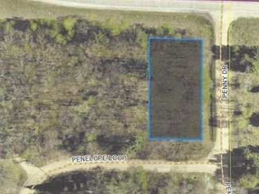 TBD Penelope Loop , Browerville, MN 56438