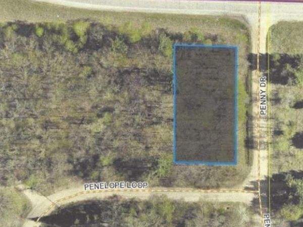 TBD Penelope Loop , Browerville, MN 56438