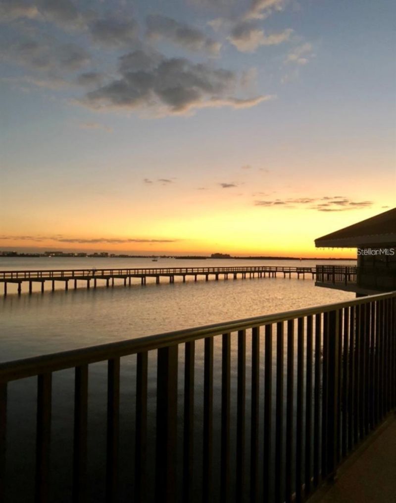 632 Edgewater Drive, Unit 139, Dunedin, FL 34698 Photo