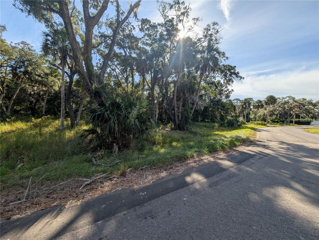 11009 N Withla Bluff Point, Inglis, FL 34449 Photo
