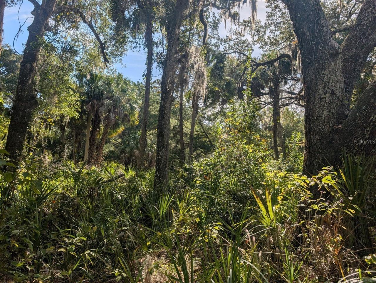 11009 N Withla Bluff Point, Inglis, FL 34449 Photo