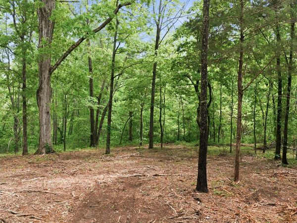 0 Willow Springs Road , Lyles, TN 37098