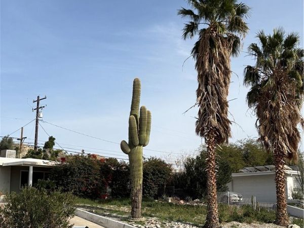 12852 Catalpa, Desert Hot Springs, CA 92240
