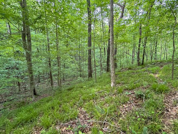 00 Murphy Hollow, Trenton, GA 30752
