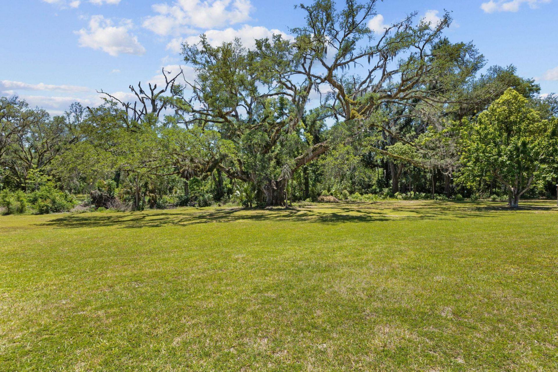 1997 N Us 221, Perry, FL 32347 Photo