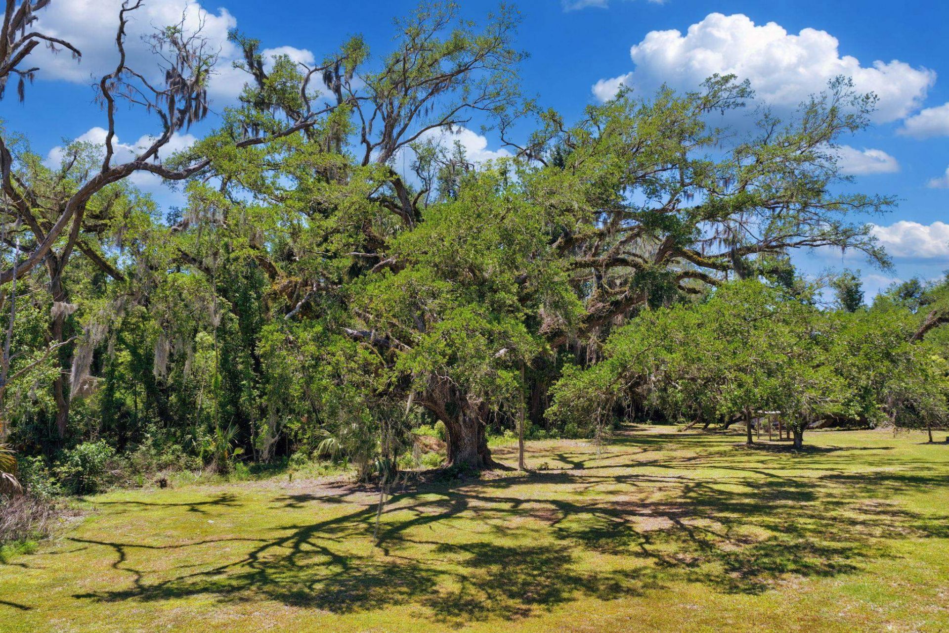 1997 N Us 221, Perry, FL 32347 Photo