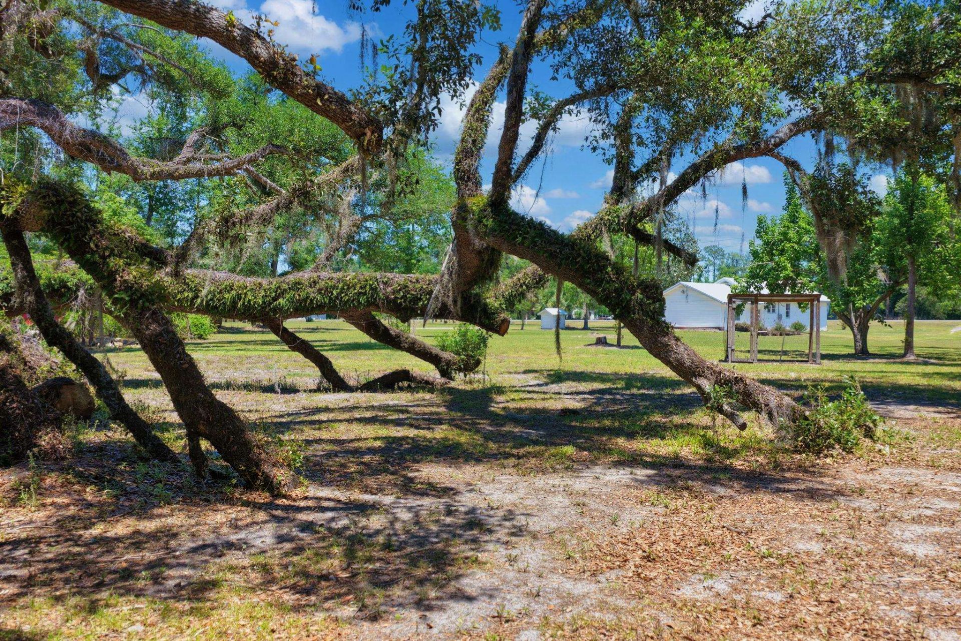 1997 N Us 221, Perry, FL 32347 Photo
