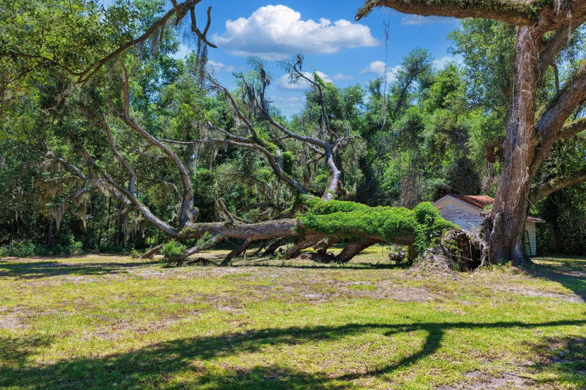 1997 N Us 221, Perry, FL 32347 Photo