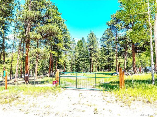 252 Beaver Trail, Bailey, CO 80421