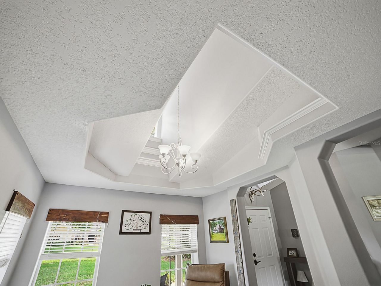 7817 Laurel View Drive , Mount Dora, FL 32757 Photo