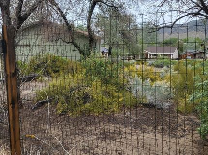 1575 Shirley Street, Minden, NV 89423 Photo
