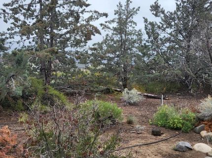 1575 Shirley Street, Minden, NV 89423 Photo