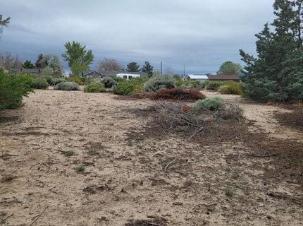 1575 Shirley Street, Minden, NV 89423 Photo
