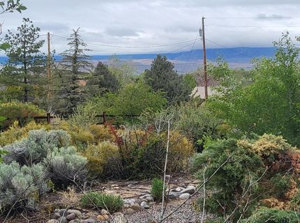 1575 Shirley Street, Minden, NV 89423 Photo