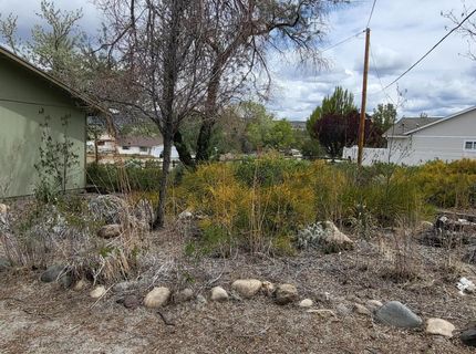 1575 Shirley Street, Minden, NV 89423 Photo