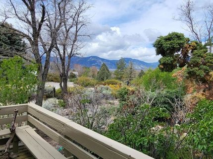 1575 Shirley Street, Minden, NV 89423 Photo