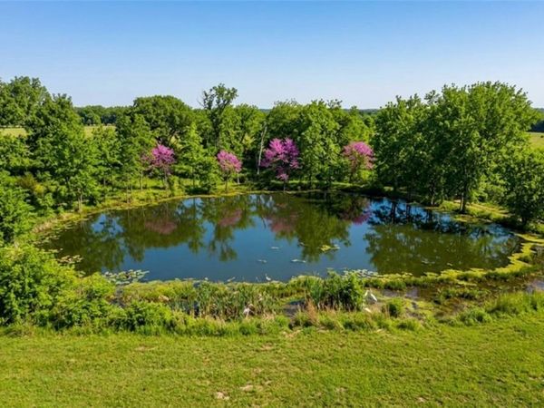 TBD Mulberry Lane , Eureka Springs, AR 72631