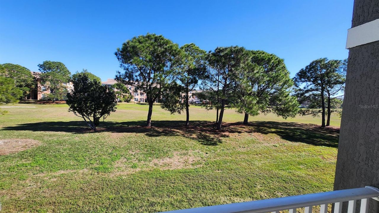 14013 Fairway Island Drive, Unit 427, Orlando, FL 32837 Photo