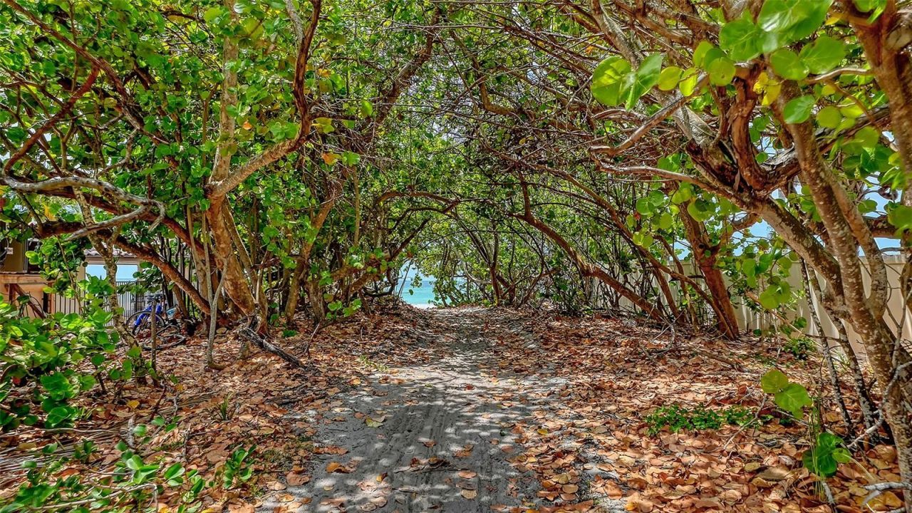 3040 Gulf Of Mexico Drive, Unit 3, Longboat Key, FL 34228 Photo