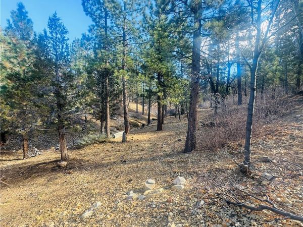 899 Kern Avenue, Sugarloaf, CA 92386
