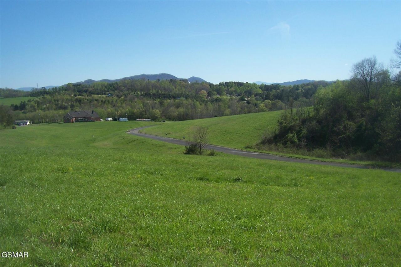 Lot 31 Splendor Way, Parrottsville, TN 37843 Main Photo