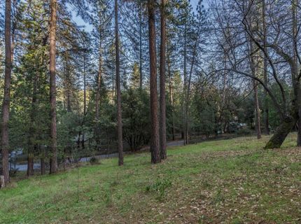 13900 Pine Park Loop, Pine Grove, CA 95665 Photo