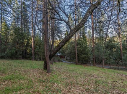13900 Pine Park Loop, Pine Grove, CA 95665 Photo