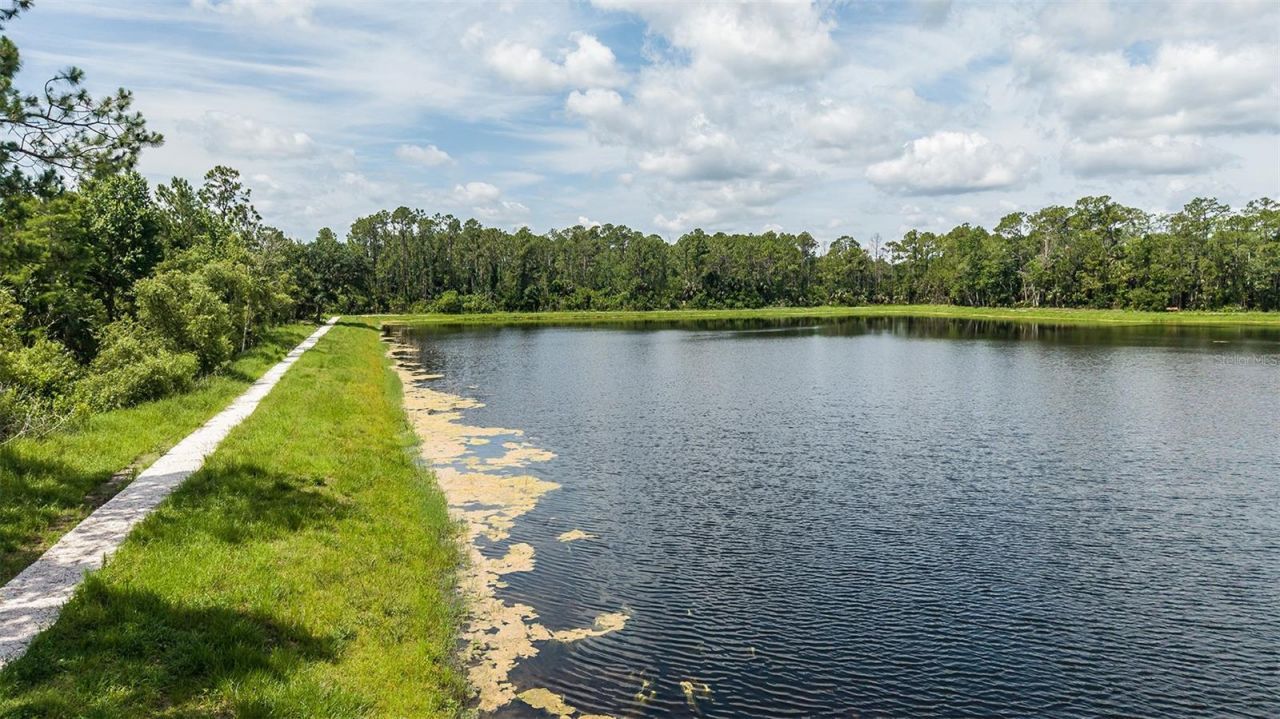 617 Moon Shell Circle, New Smyrna Beach, FL 32168 Photo