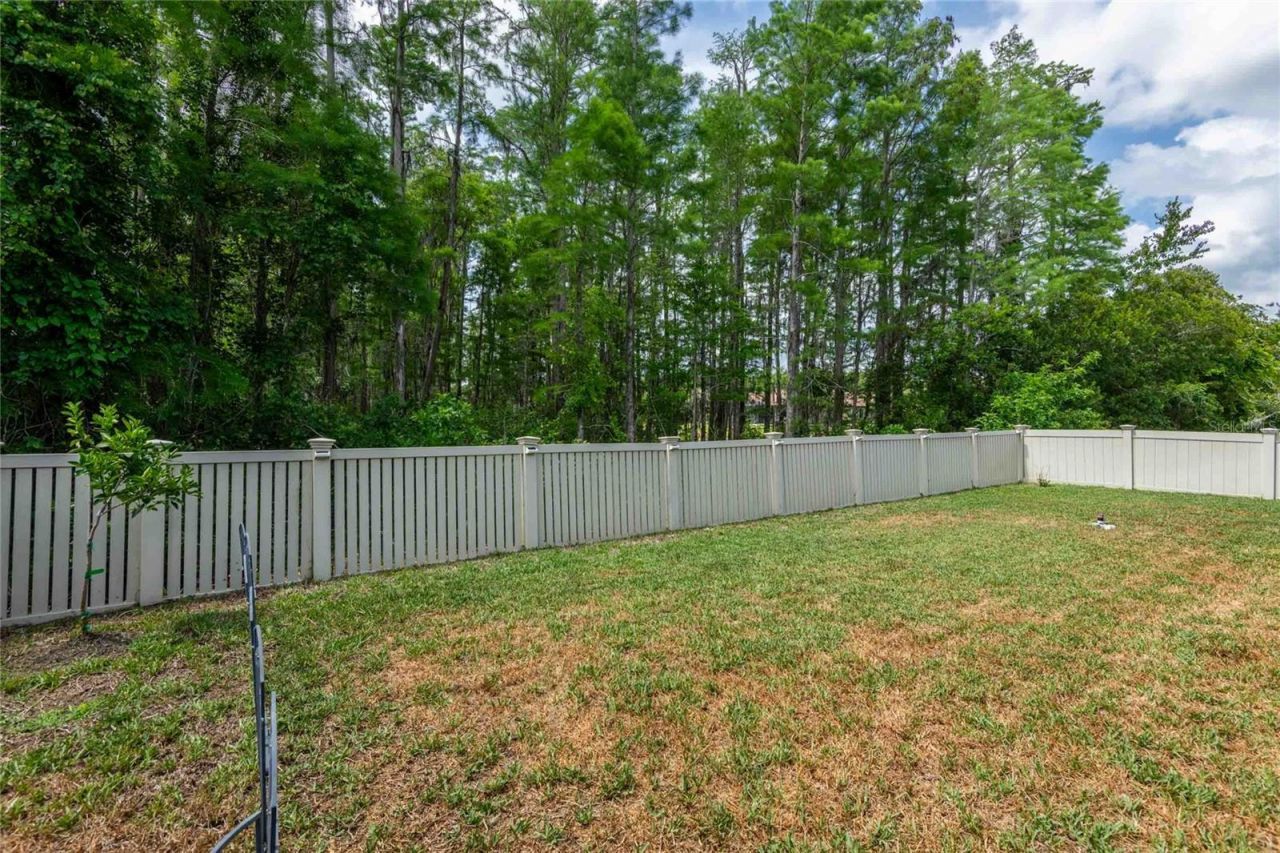 12846 Tikal Way, Trinity, FL 34655 Photo