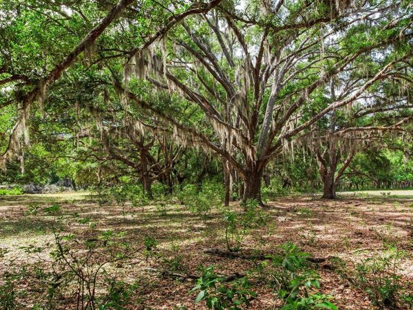 THONOTOSASSA, FL 33592