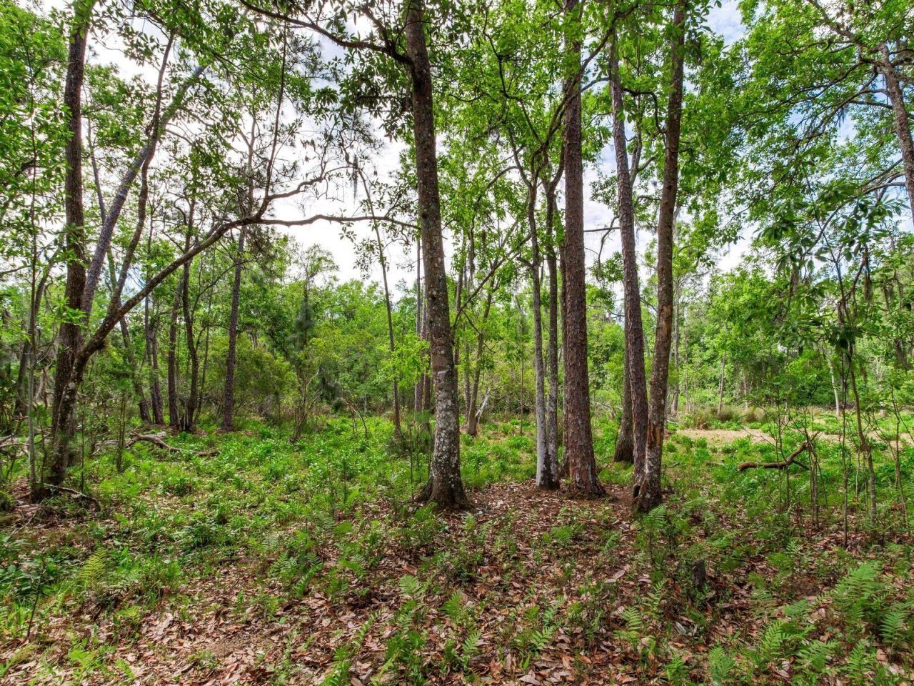 Please Call For Address, Thonotosassa, FL 33592 Photo