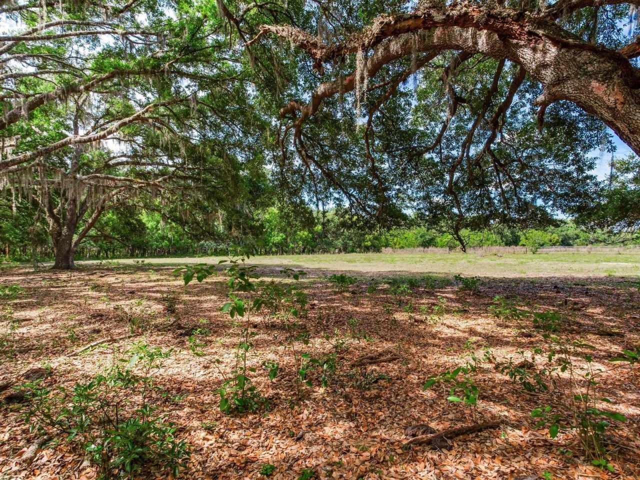 Please Call For Address, Thonotosassa, FL 33592 Photo