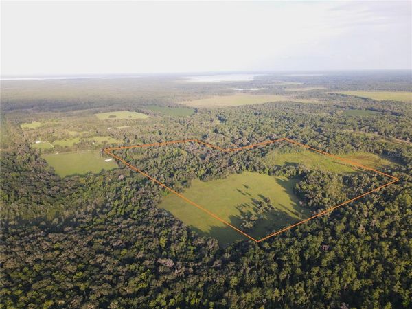 11816 SE COUNTY ROAD 234 , MICANOPY, FL 32667