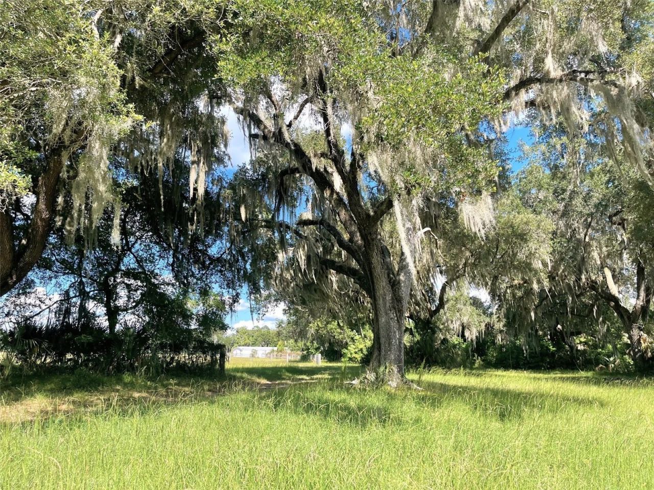 11816 SE County Road 234, Micanopy, FL 32667 Photo
