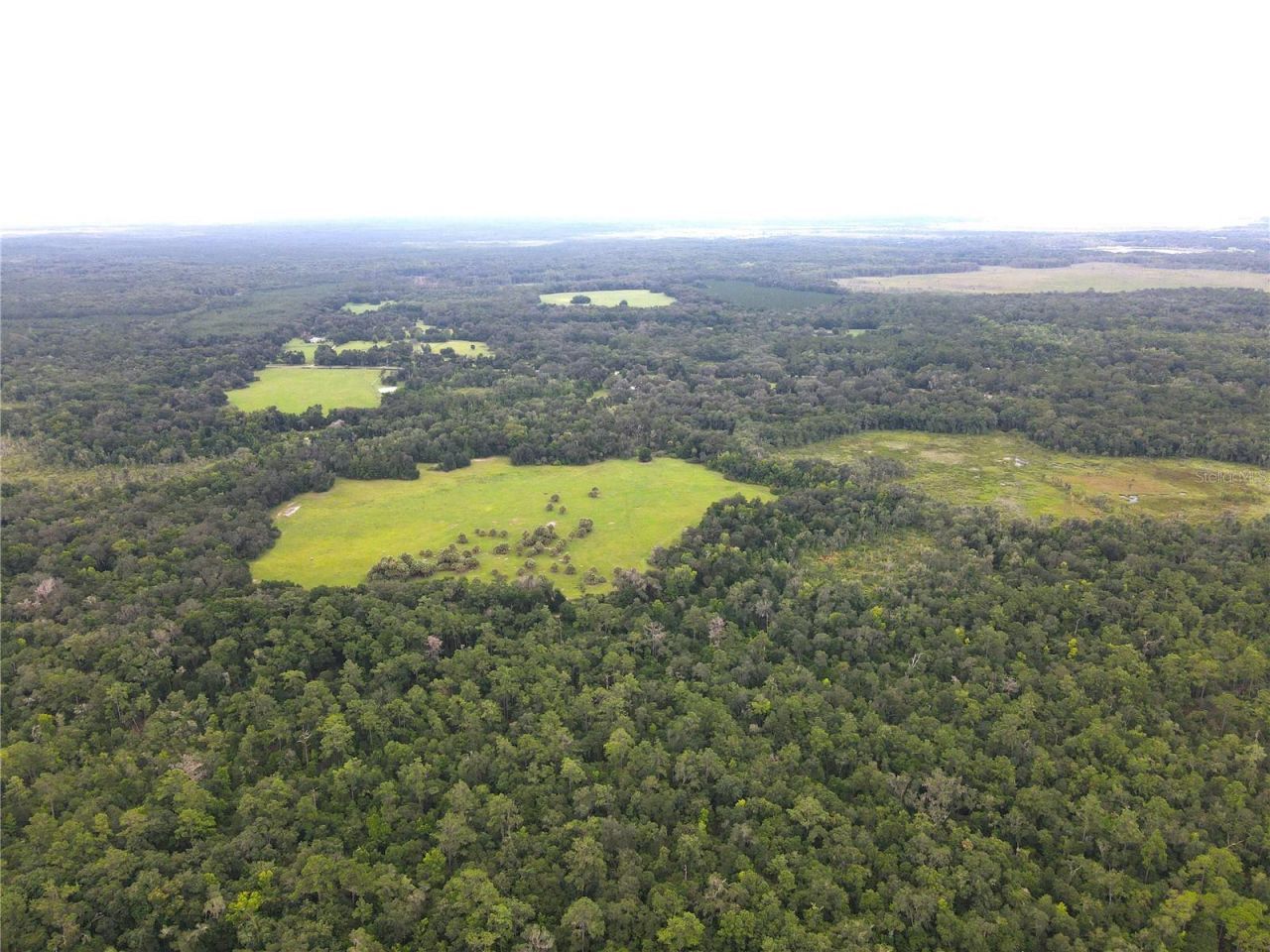 11816 SE County Road 234, Micanopy, FL 32667 Photo