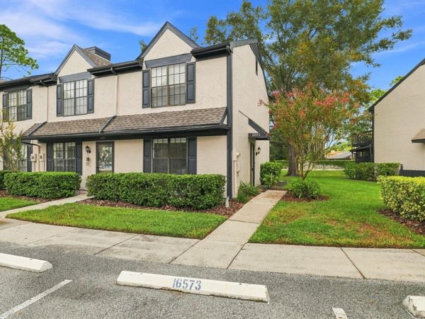 16573 BRIGADOON DRIVE, TAMPA, FL 33618