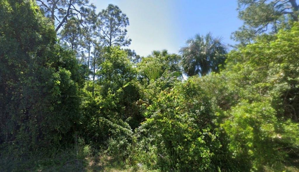 241 Phantasy Avenue, Lake Placid, FL 33852 Photo
