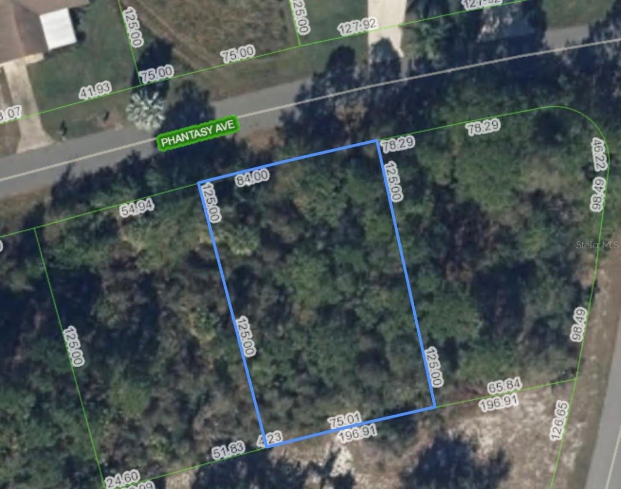 241 Phantasy Avenue, Lake Placid, FL 33852 Photo