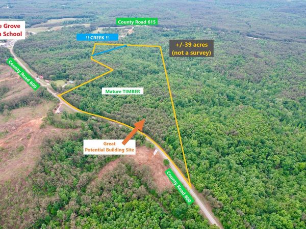 Co Rd 600, Dumas, MS 38625