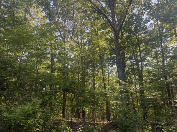 147 Wild Turkey Ct , Summertown, TN 38483