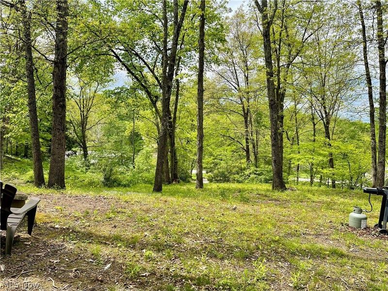 58970 Vocational Road, Byesville, OH 43723 Photo 4