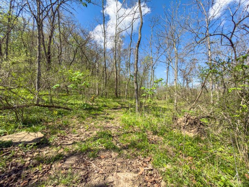 5235 Pounds Road , Chesterhill, OH 43728 Photo 11