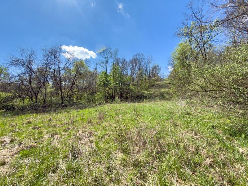 5235 Pounds Road , Chesterhill, OH 43728 Photo 12