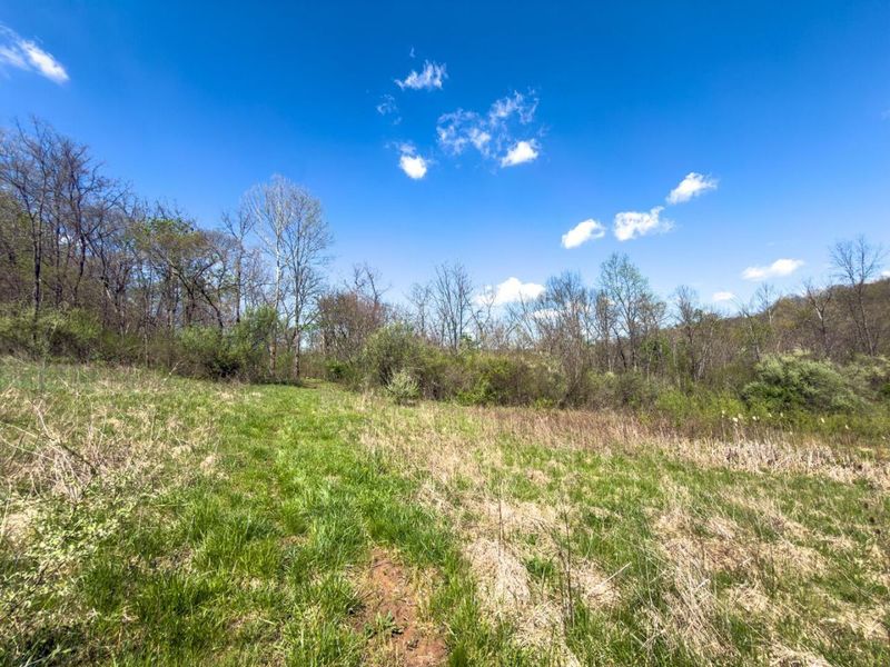 5235 Pounds Road , Chesterhill, OH 43728 Photo 14